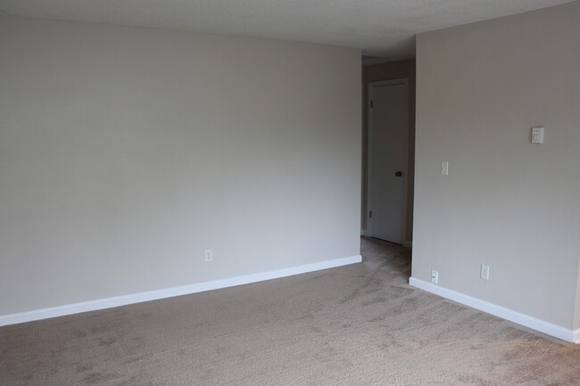 Living room is clean with newer carpet and fresh paint. - 1211 Dumas Road