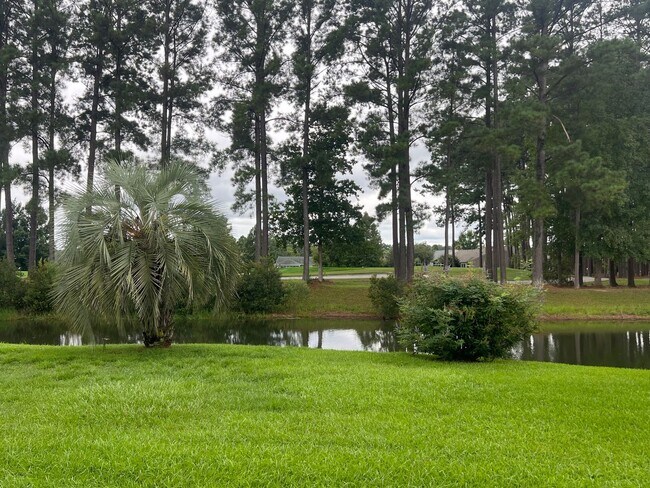 Building Photo - Beautifully Maintained Sun City Home!