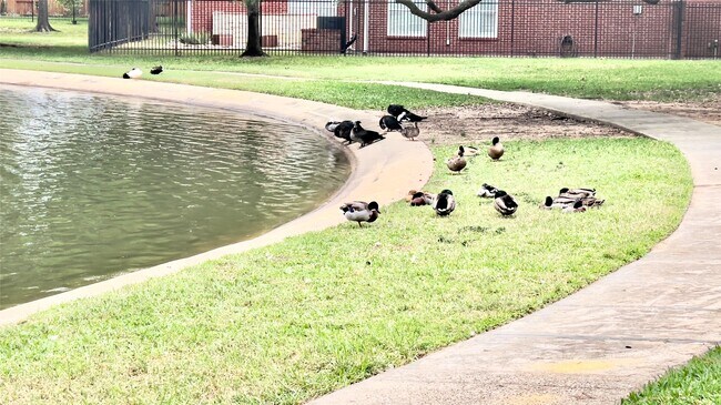 Building Photo - 15807 Arbor Lake Dr