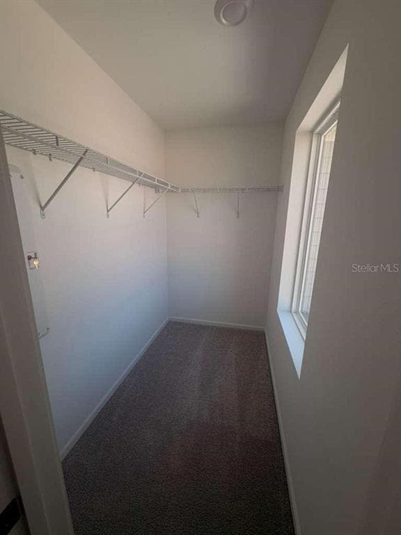 Building Photo - 848 Lynx St