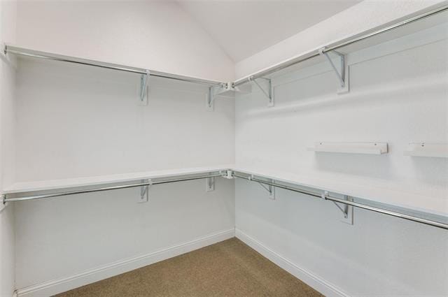 Building Photo - 3230 Adirondack Ln