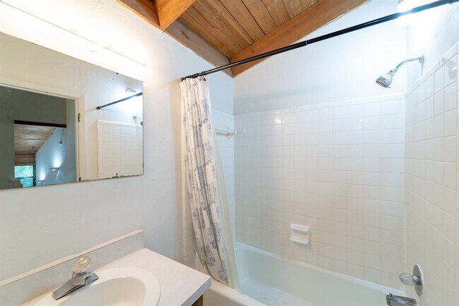 Building Photo - 1309 Rumba Ln