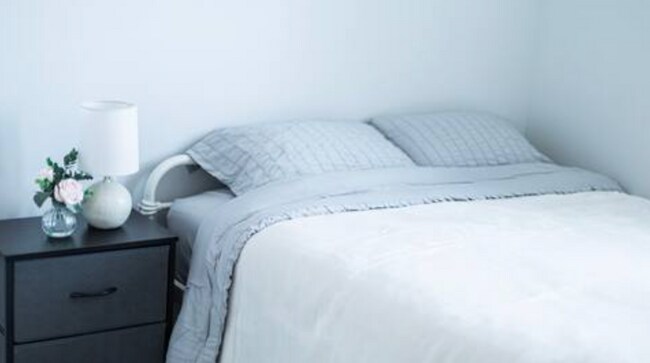 Building Photo - 1505 Commonwealth Ave