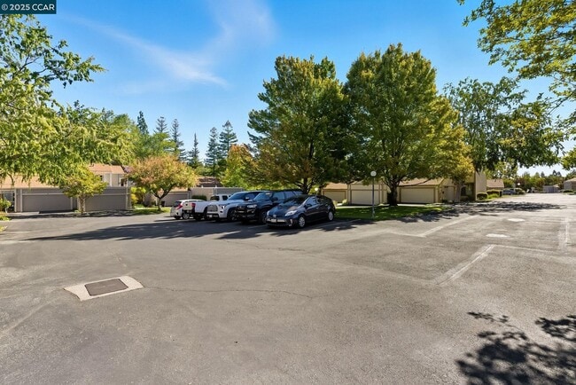 Building Photo - 209 Valley Oak Plaza