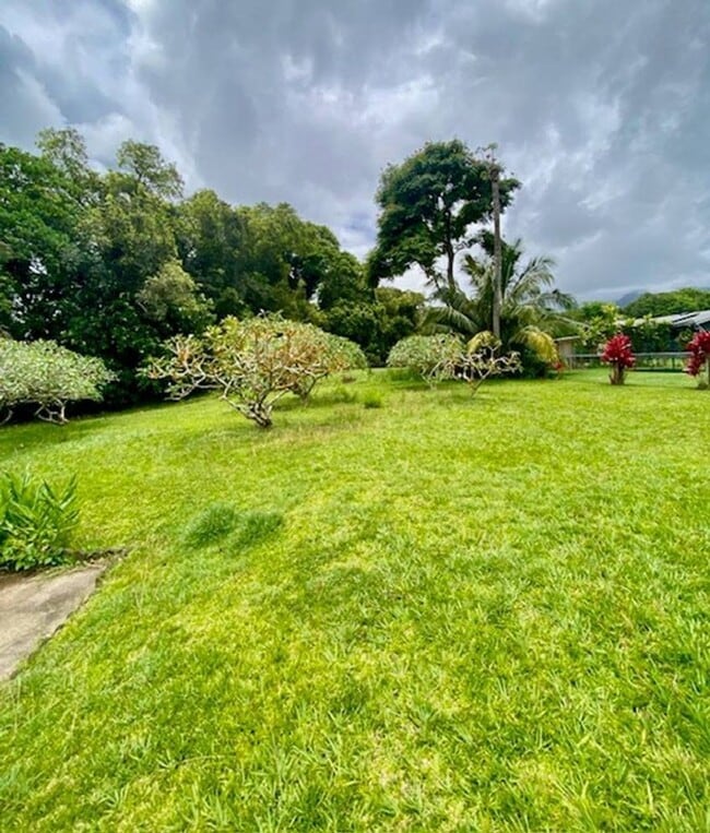Building Photo - 1 BEDROOM, 1 BATH APT IN KAPAA