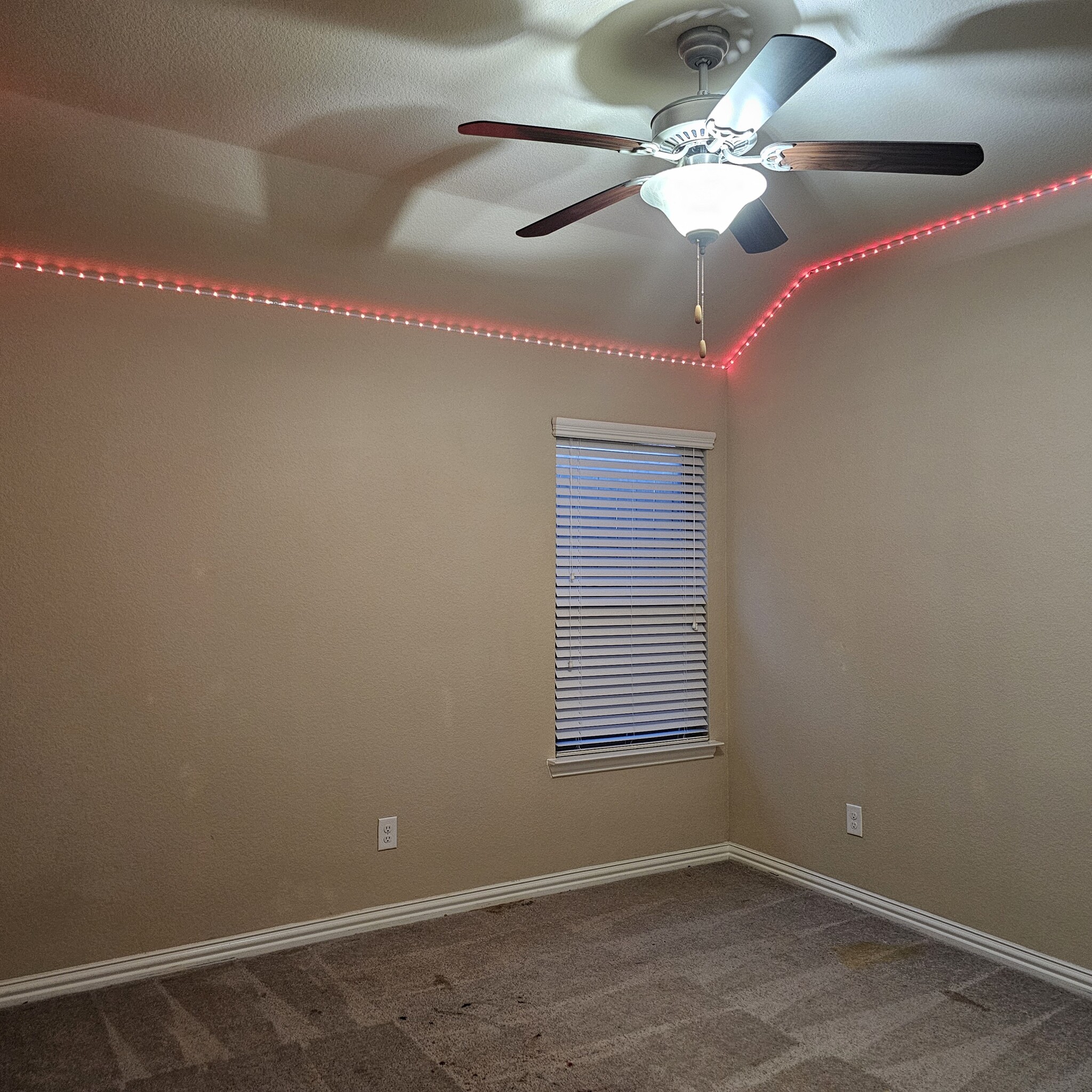 Bedroom 2 - 905 Avian Dr