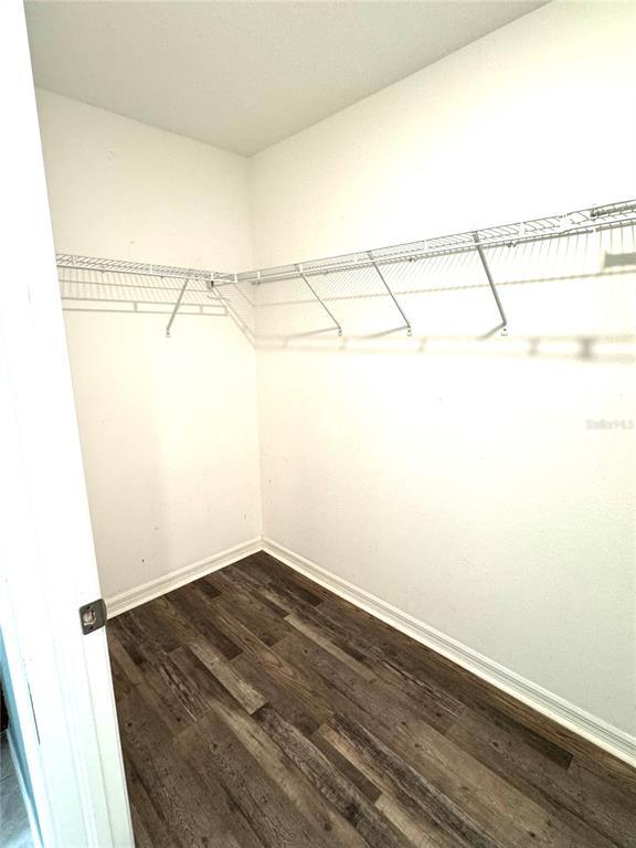 Building Photo - 4329 Globe Thistle Dr