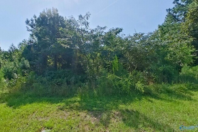 Building Photo - 111 Bates Ln