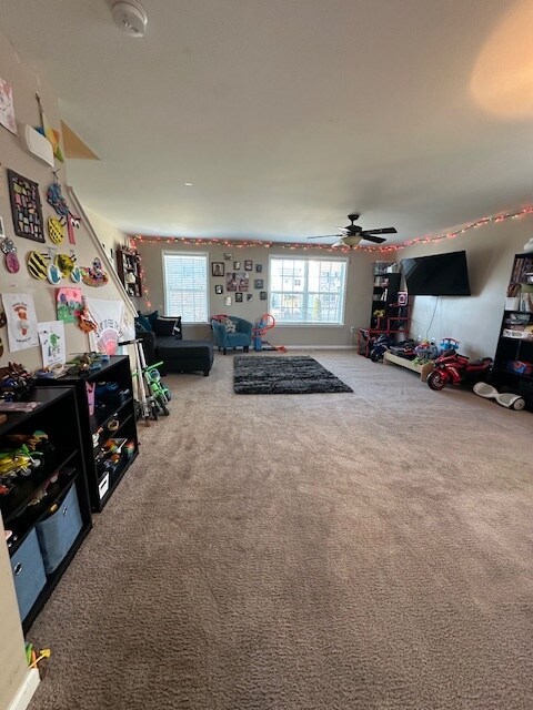 Living Room - 257 Morlatt Ln