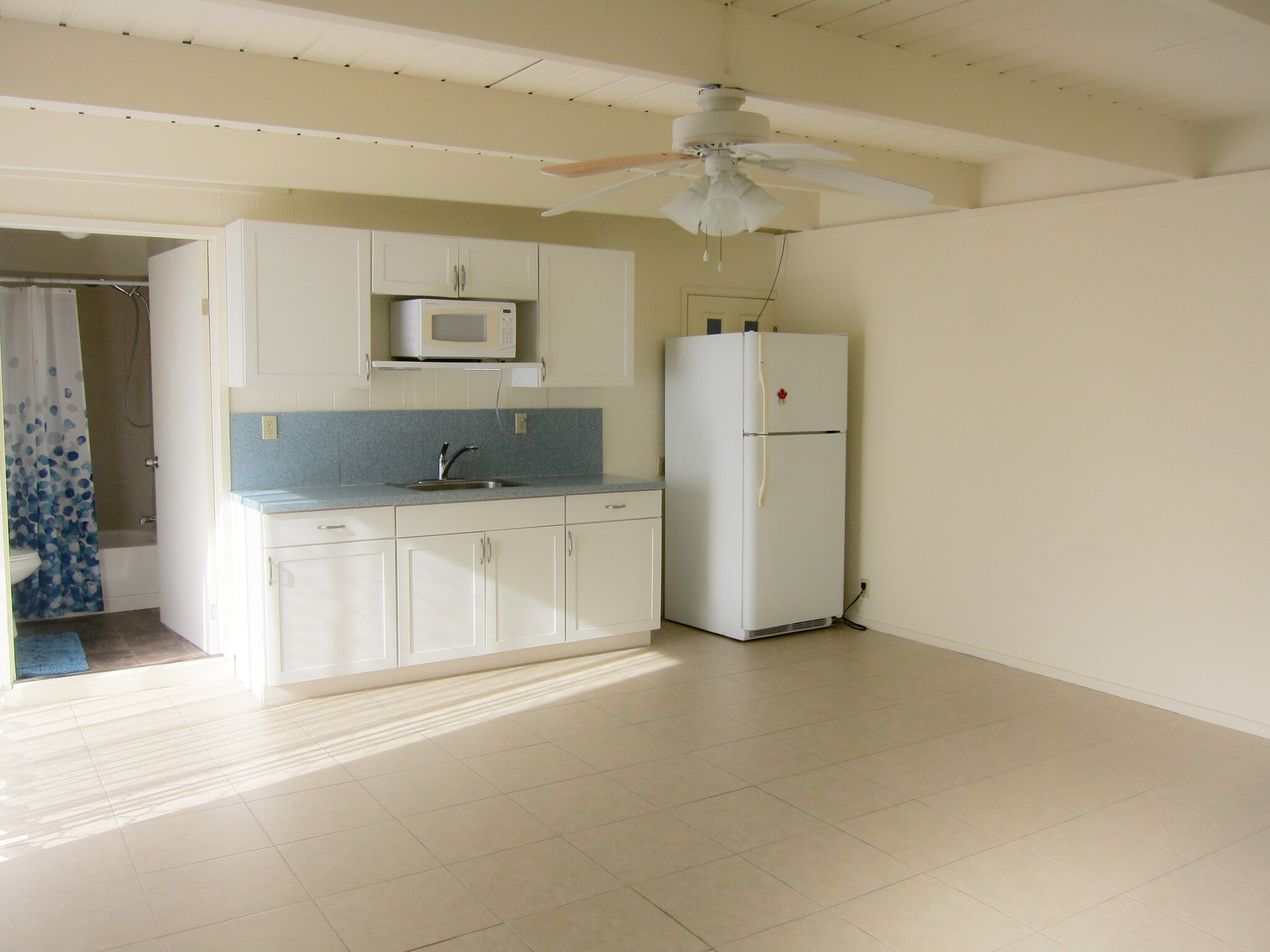 Building Photo - 491 Paumakua Way