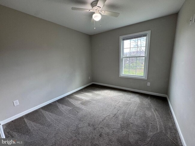 Building Photo - 436 Hill St