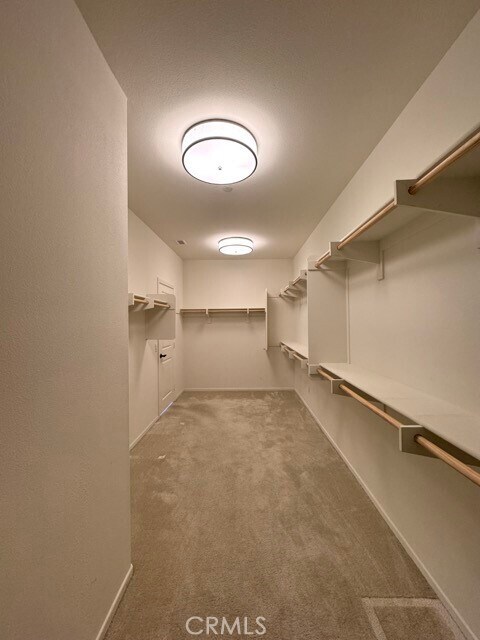 Building Photo - 34913 Limecrest Pl