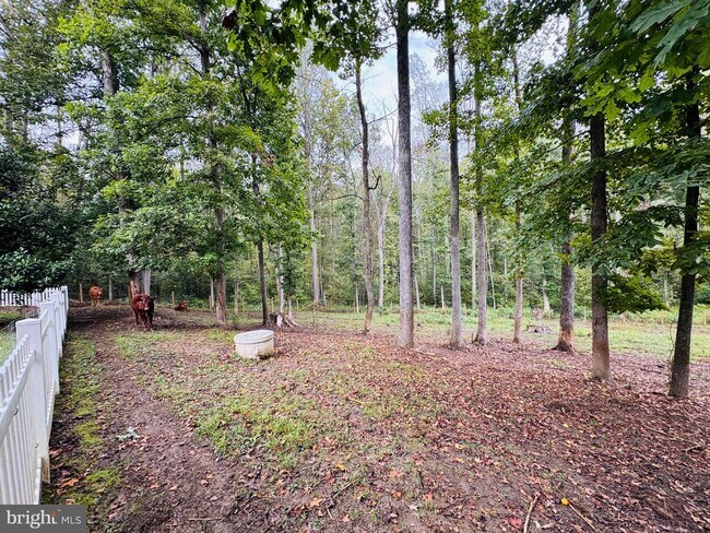 Building Photo - 6709 Towles Mill Rd