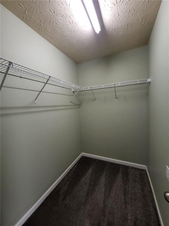 Building Photo - 402 Chatooga Ln