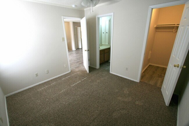 Building Photo - 1102 Spring Loop