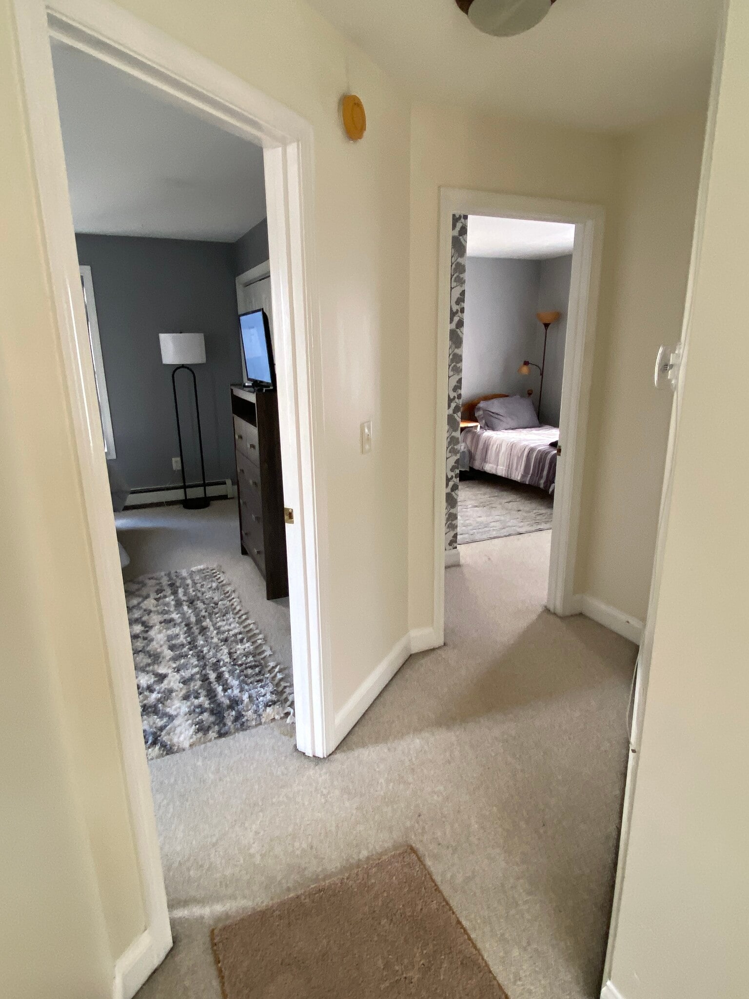 hallway - 18 Scamman St