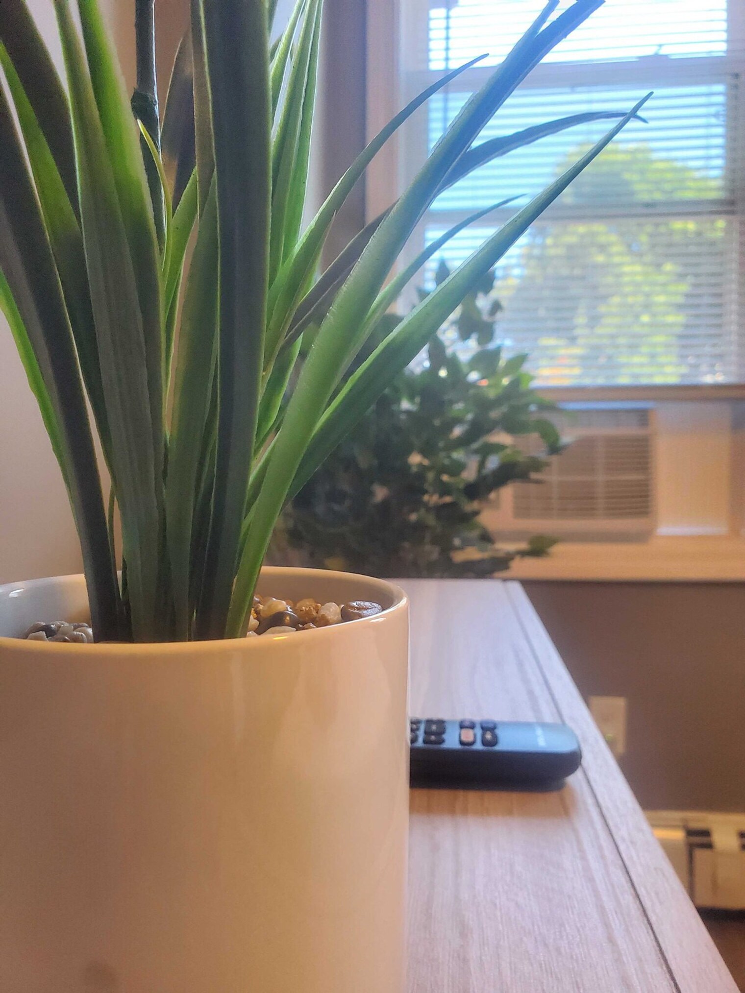 Building Photo - 30 Maynard St