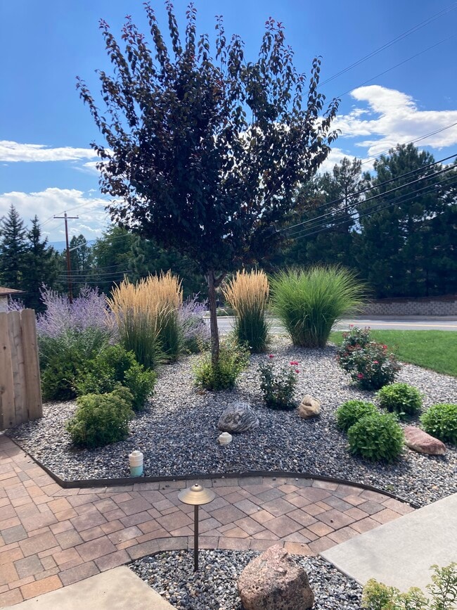 Front yard - 6844 Carr St