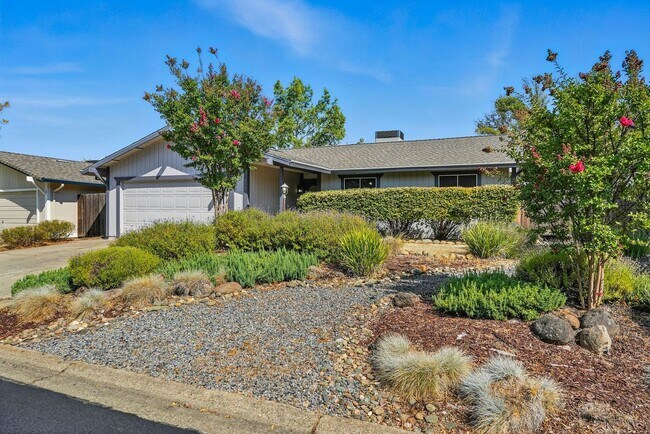 Building Photo - Single-Story 3 Bedroom Home in Quiet El Do...