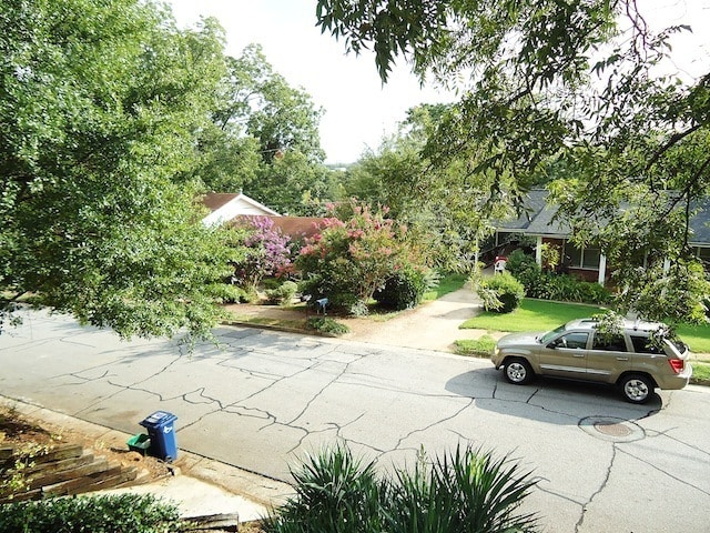 Building Photo - 225 Pearl St