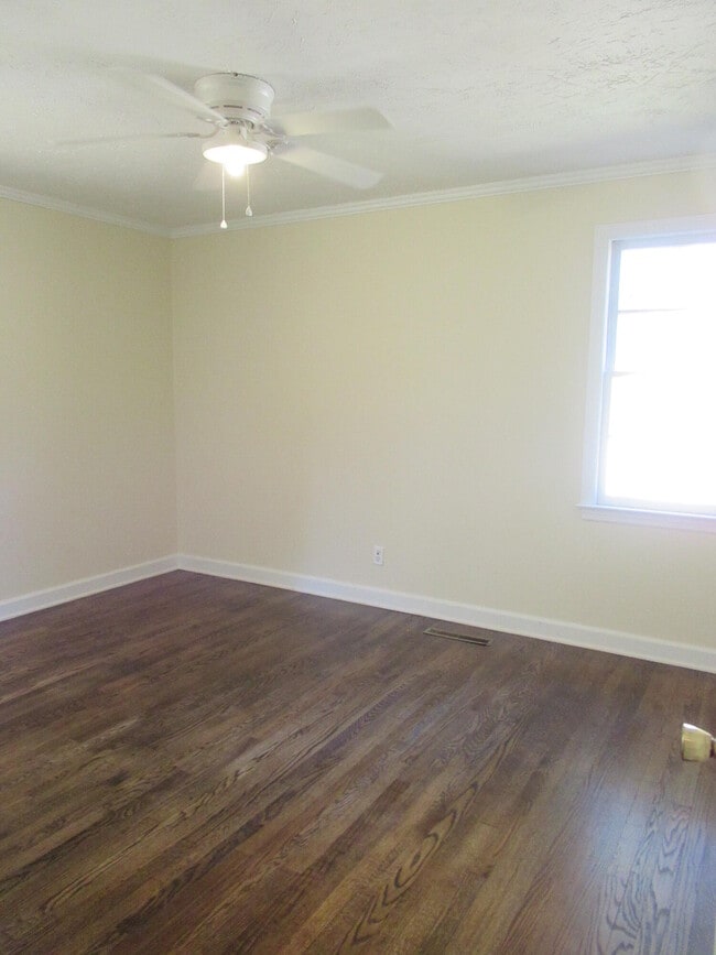 Building Photo - 38 Thelma St