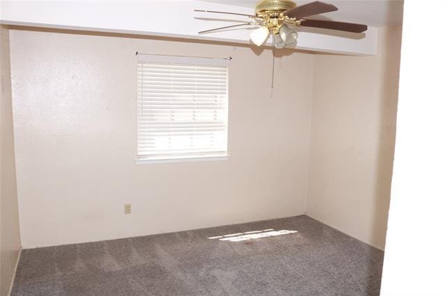 Building Photo - 547 Trail Ridge Dr