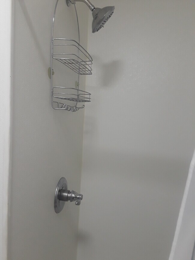 New shower/bathroom - 1205 Cloquet Ave