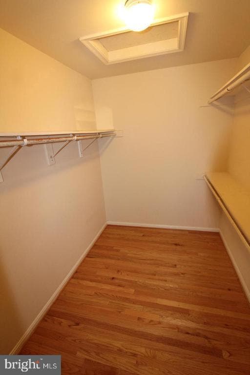 Building Photo - 10502 James Wren Way