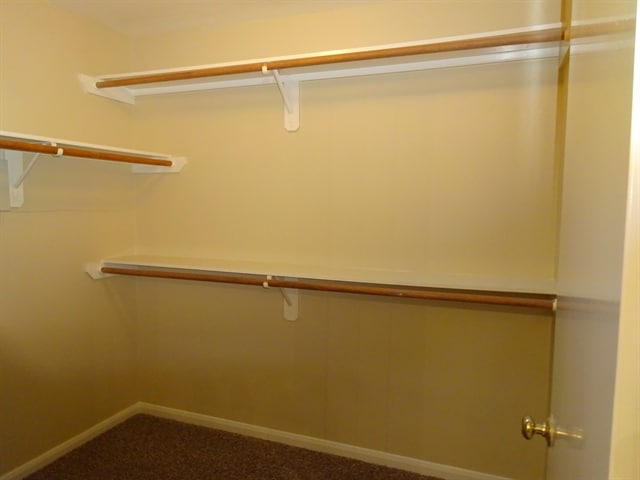 Building Photo - 11814 E Galwan Cir