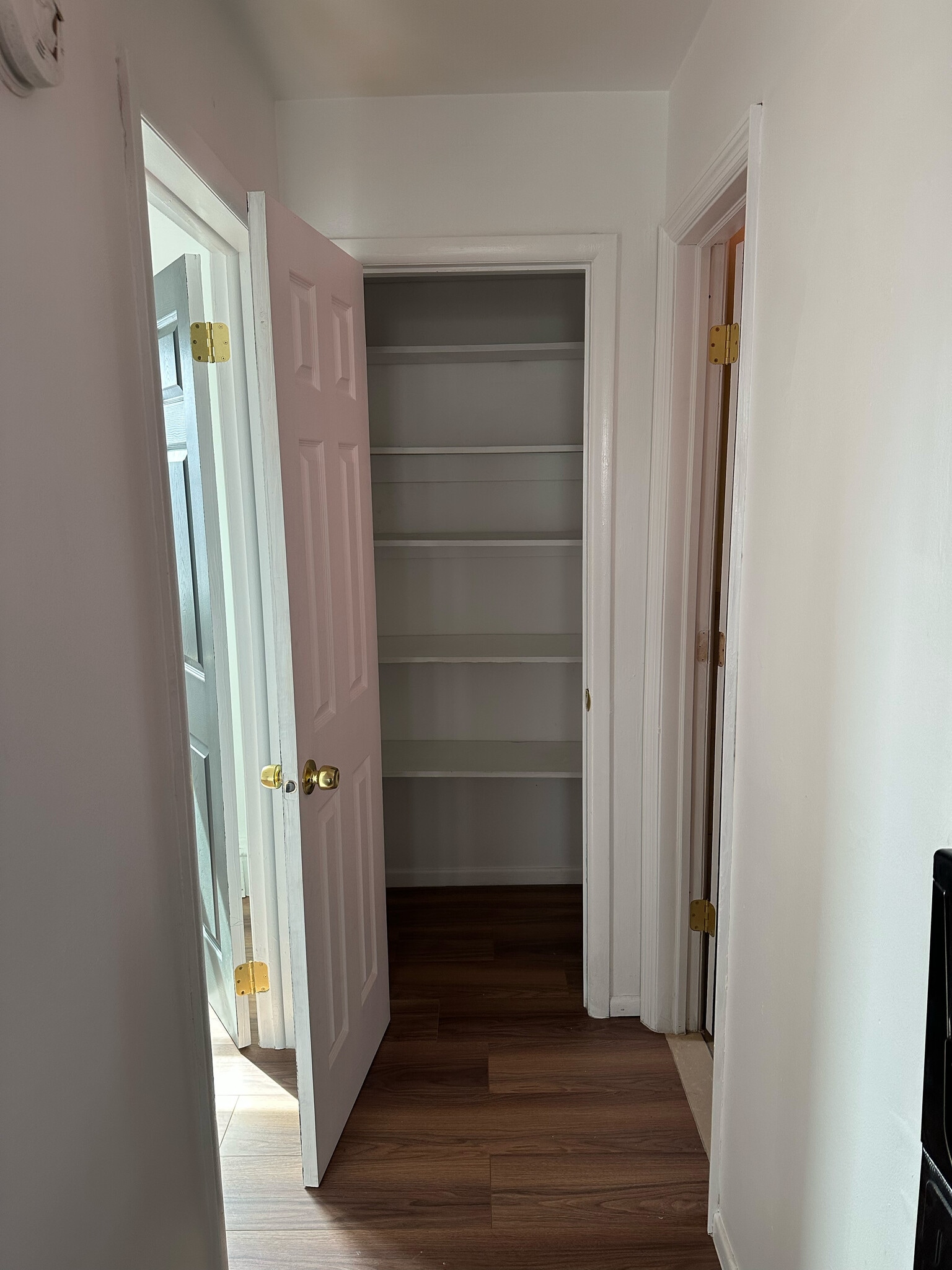 Pantry Closet - 17 Linden Ave