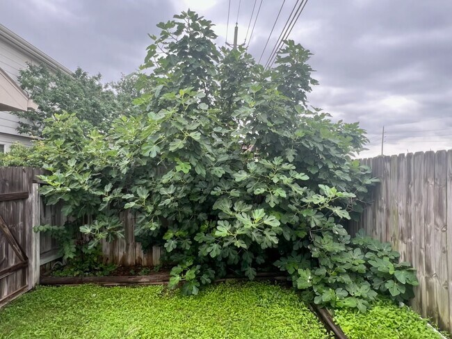 Building Photo - 21839 Manitou Falls Ln