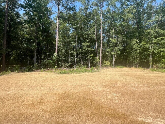 Building Photo - Beautifully Done & Brand New 4BD/2.5 Home in Jones Co.
