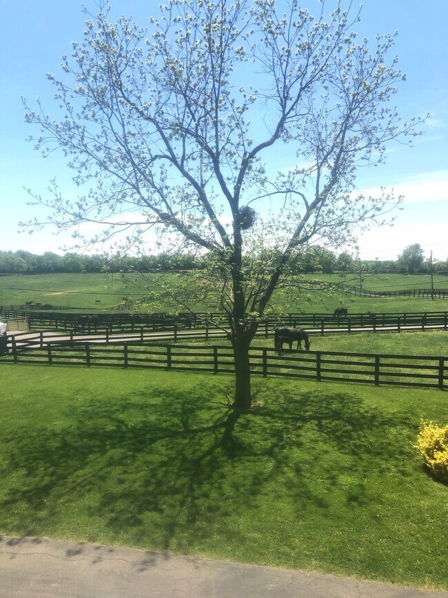 Building Photo - Kentucky mansion overlooking horse farm with stunning views    260323
