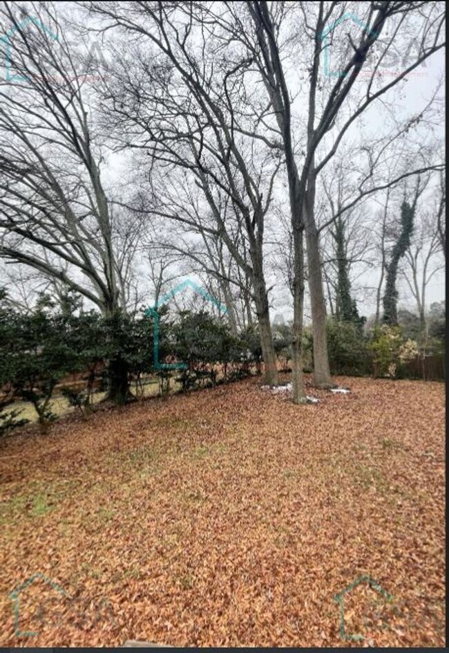 Building Photo - Two Bedroom Two Bath