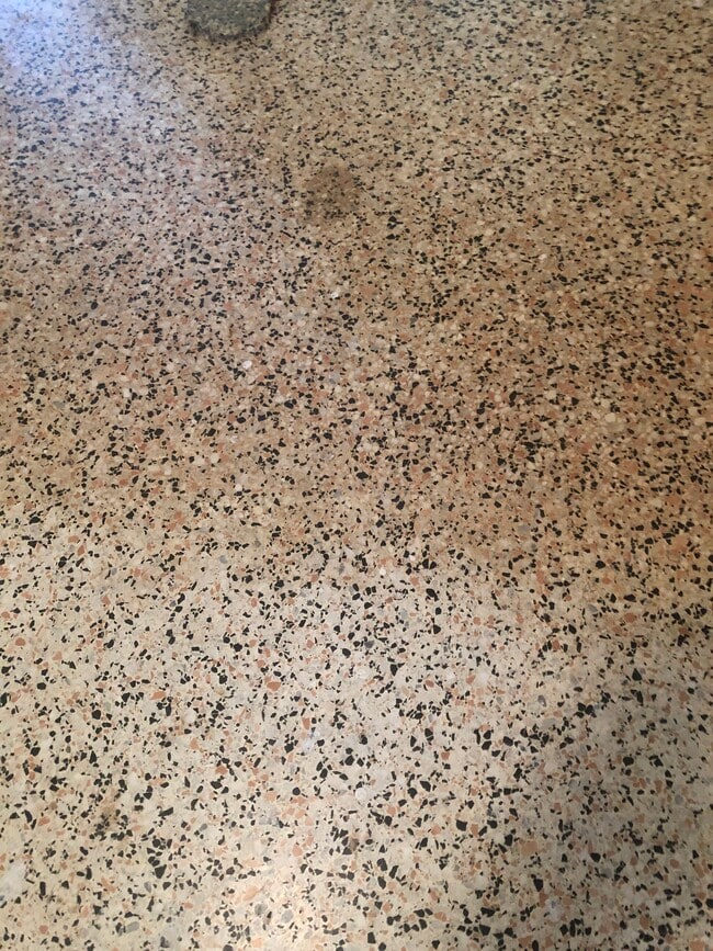 Building Photo - 157 N Rhodes St