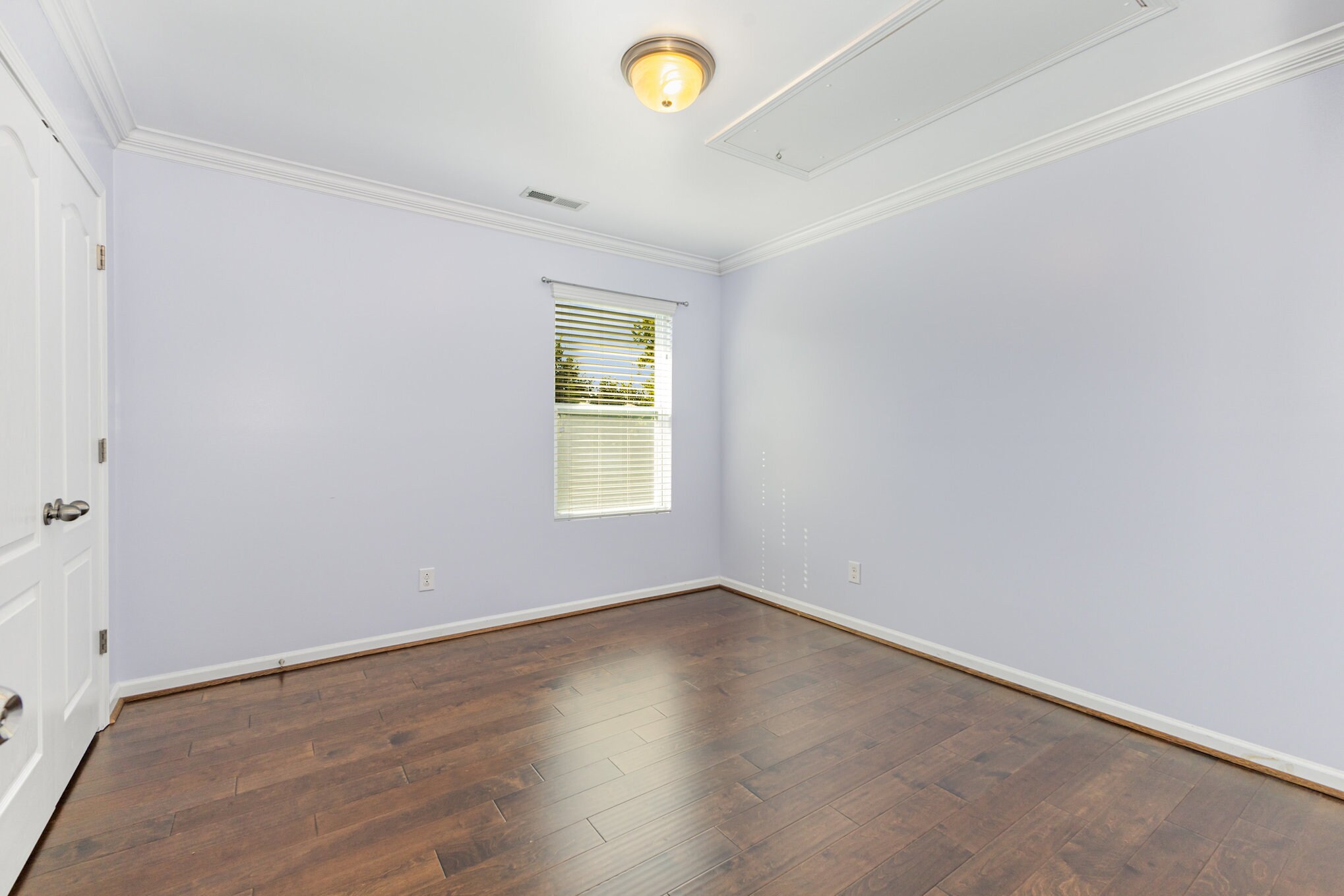 Building Photo - 1505 Yellow Daisy Dr