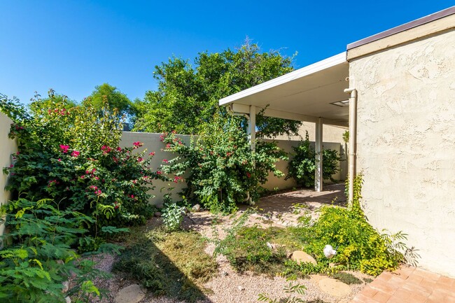 Building Photo - Villa San Marcos in Scottsdale