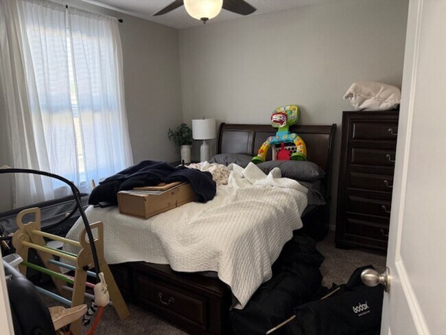 Building Photo - Like New 4/2.5 St. Augustine