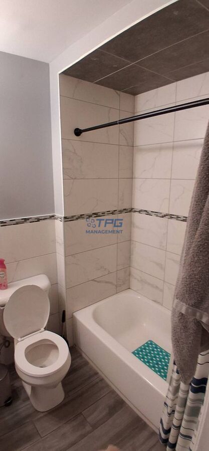 Building Photo - 142 Ripley Pl