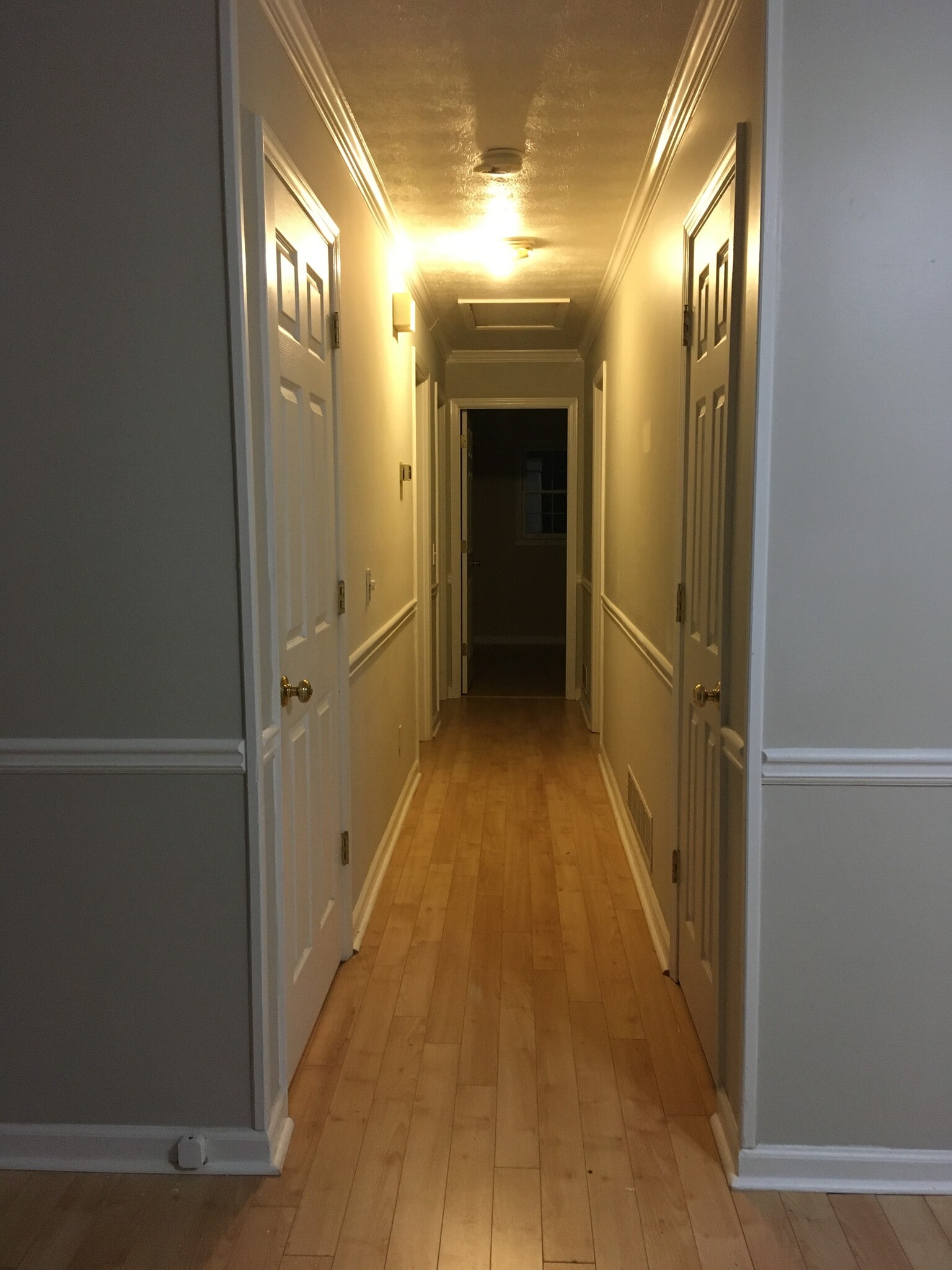 Building Photo - 4001 Scarlett Ln