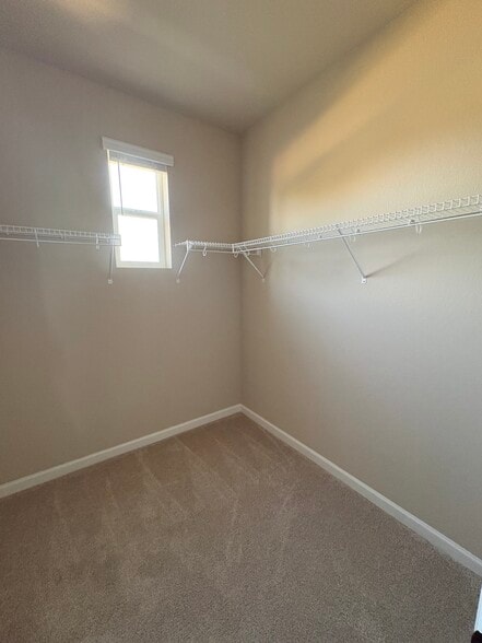 Building Photo - 978 Nettle Ln