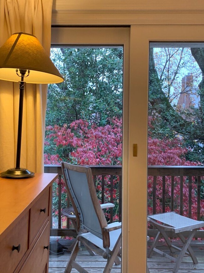 Building Photo - Rare Georgetown Townouse with private yard - 1 block from Rose Park / M St