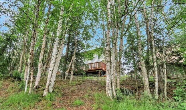 Building Photo - 4202 Pinnacle Cir