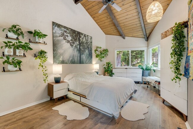 Building Photo - Boulder Creek Sanctuary! 50% off 1st months rent!