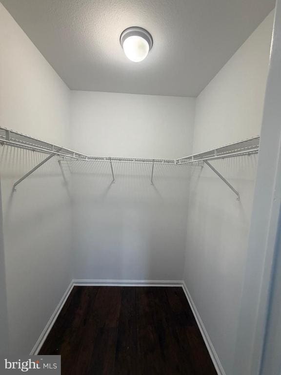 Building Photo - 1194 Tristram Cir