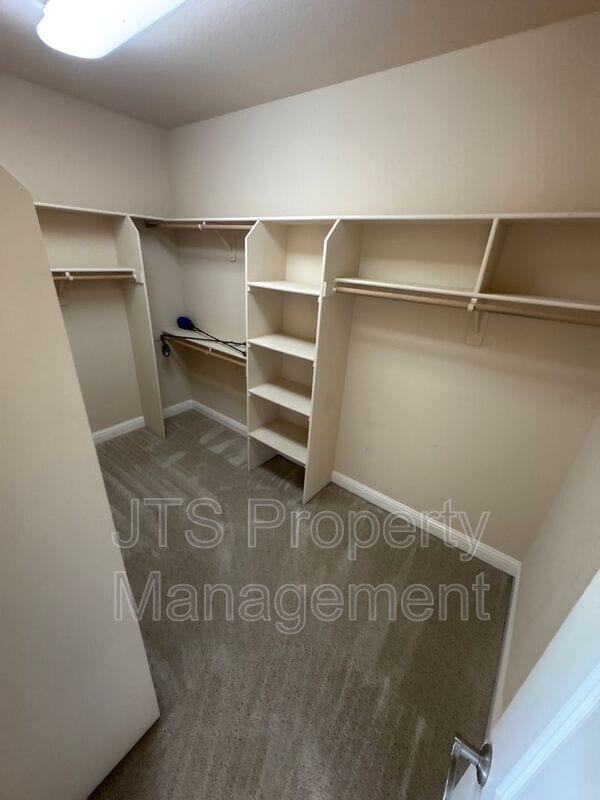 Building Photo - 3718 Bella Cruz Ct