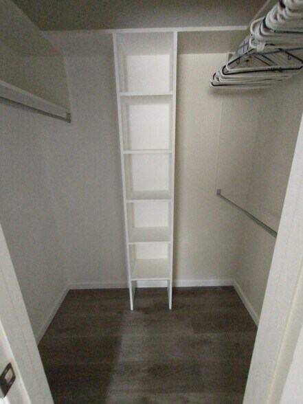 Master Closet - 3275 Squaw Valley Dr