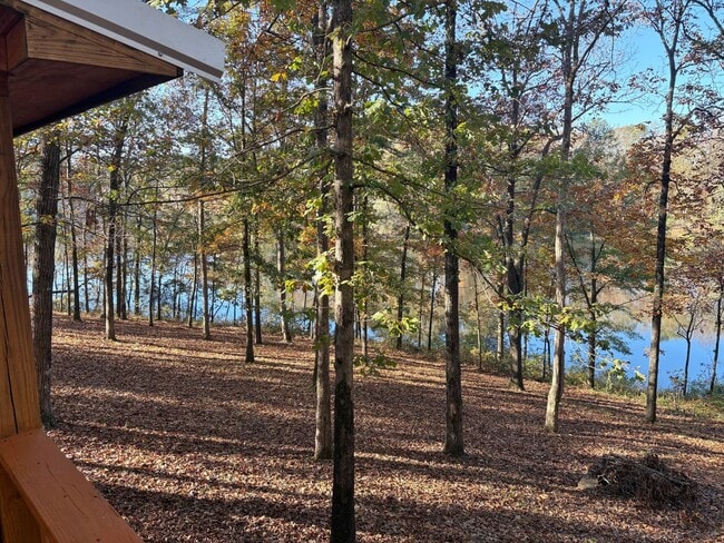 Building Photo - 1 Bedroom, 1 bath House