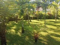 Building Photo - 1bd & 1 1/2 ba Fully Furnished & Move in Ready & all appliances included