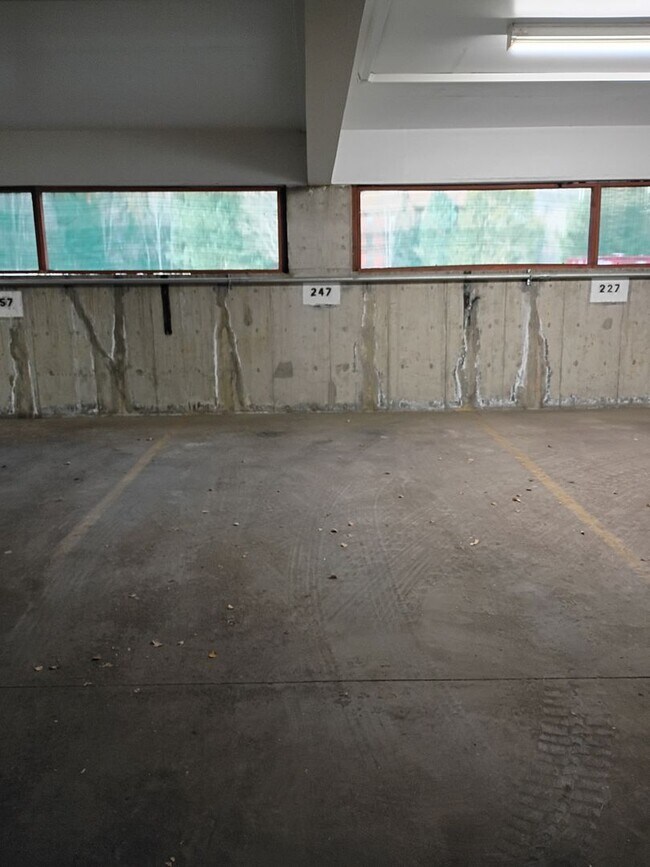 Building Photo - Winter Seasonal Rental- Mountainside Condos #247D